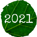 2021 2021