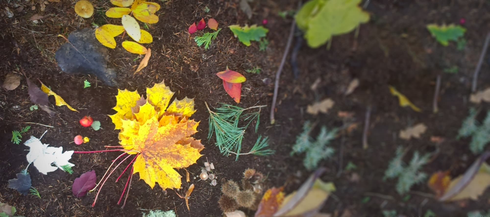 early years outdoors whatever the weather