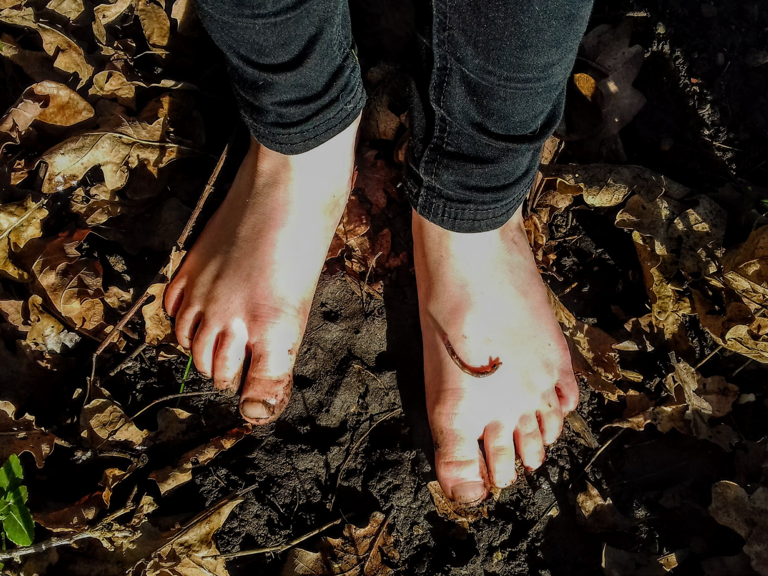 img_barefoot-safari.jpg