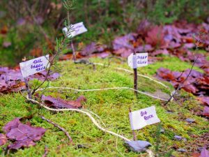 Outdoor Learning ideas | Outdoor Lesson ideas | Outdoor Learning Resources