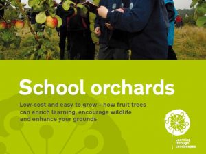 school-orchards-book