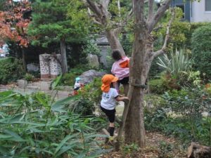 risk-taking-and-resilience-lessons-from-japanese-kindergartens-13-natural-areas