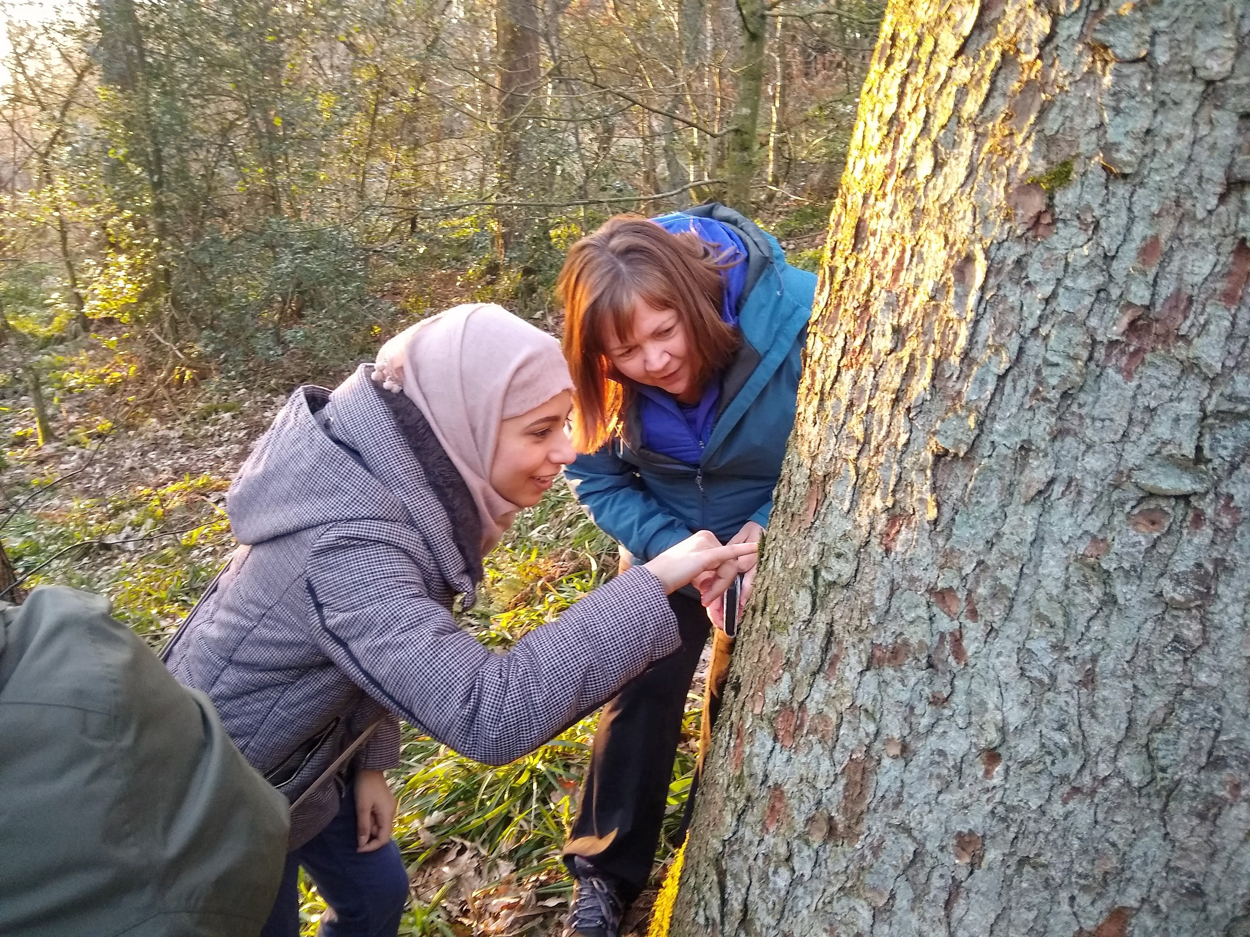 Outdoor Learning