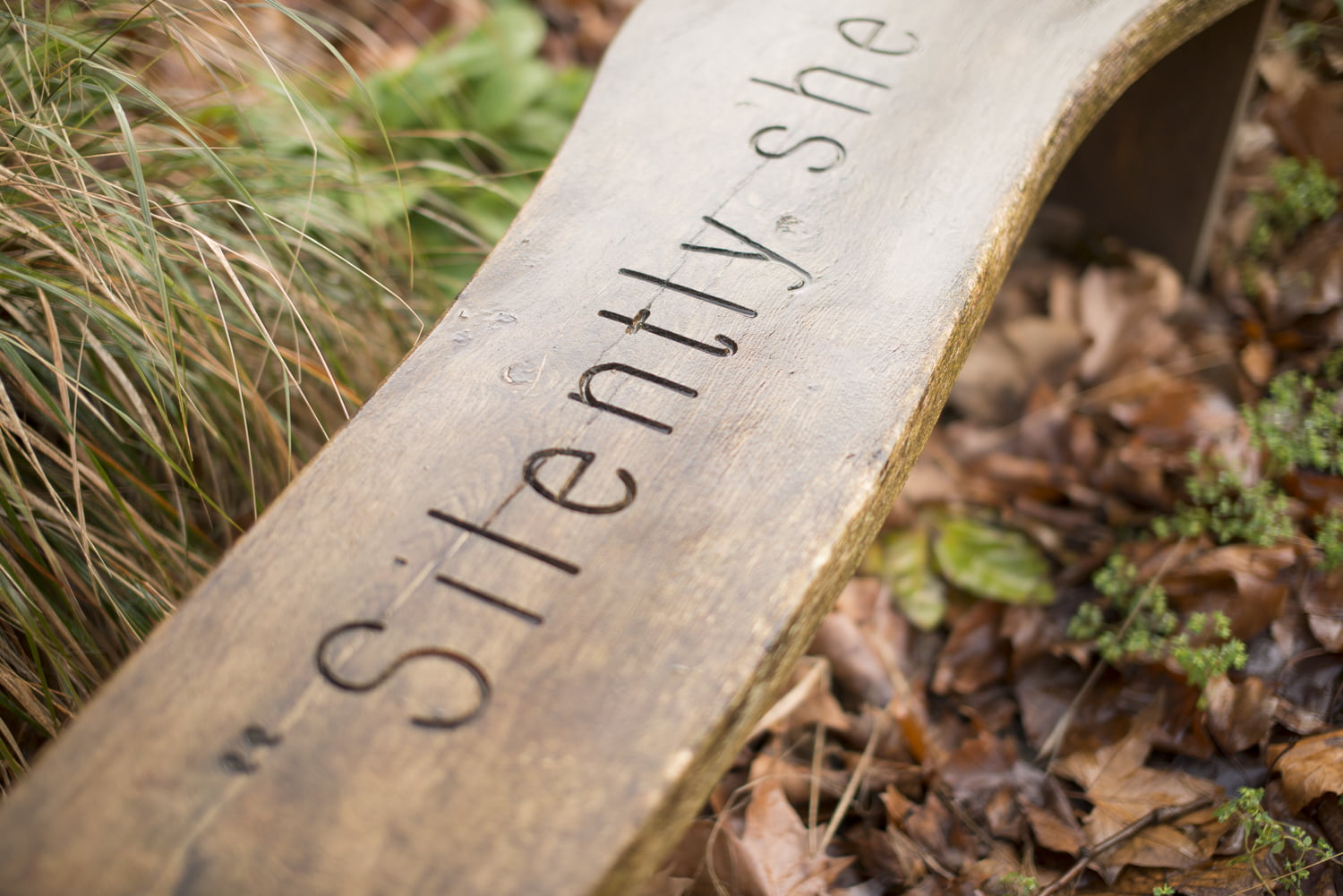 outdoor-literacy-english