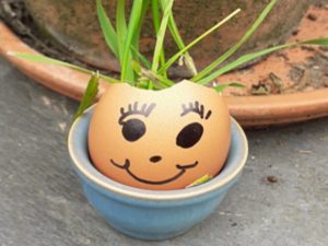 outdoor lesson activity eggy cress head