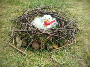 outdoor lesson idea build-a-nest