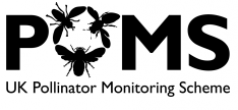 uk-pollinator-monitoring-scheme-2
