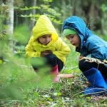 Comparing Forest Kindergarten and Forest School