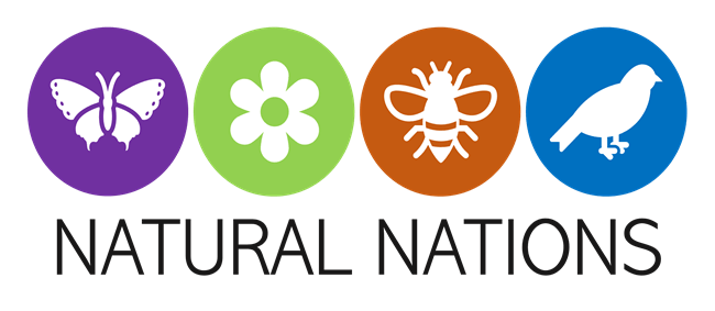 natual-nations-goes-digital-climate-and-sustainability-educcation
