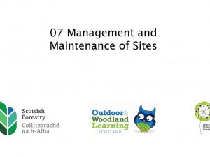 Forest Kindergarten - Video 07 - Management and Maintenance of Sites