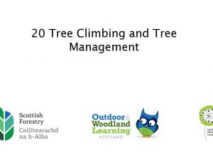 Forest Kindergarten - Video 20 - Tree climbing and tree management