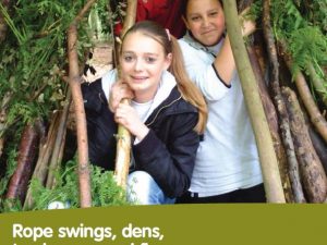 Rope Swings, Dens, Treehouses and Fires Guidance